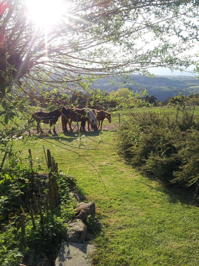 Ferme De La Bonnefontaine Hotel Plats Esterno foto